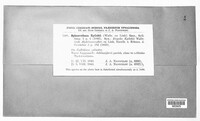 Podosphaera epilobii image